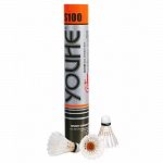 Youhe S100